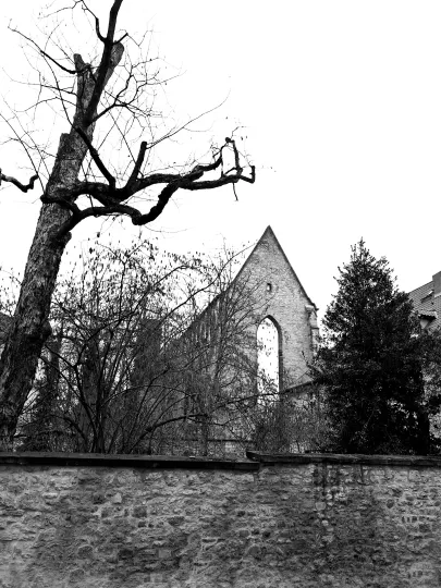 Hinter einer Mauer mit einem blattlosen Baum steht im Hintergrund die Fassade einer alten Klosterkirchenruine