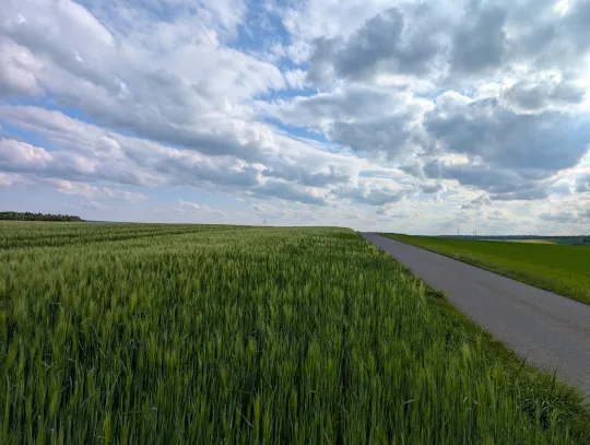 Ein weites grünes Getreidefeld unter einem dramatisch bewölkten blauen Himmel. Rechts führt eine schmale Asphaltstraße diagonal in die Ferne über einen Hügel.