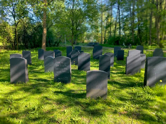 Viele dunkle Grabsteine auf einem sonnigen, grünen Friedhof unter Bäumen.