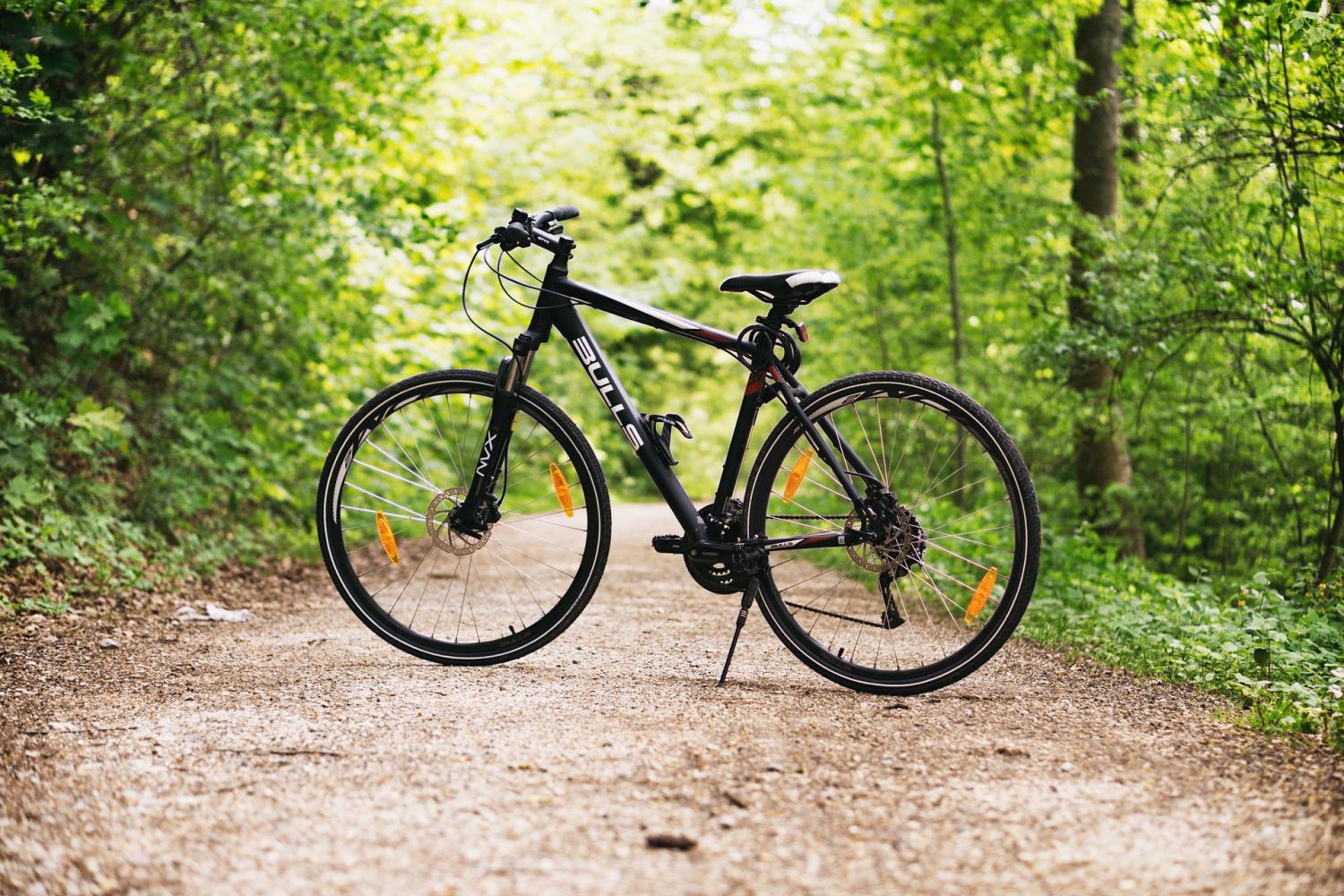 Fahrrad fahren im Wald Pfarrbriefservice.de