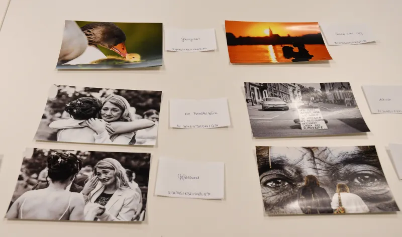 Verschiedene Farbfotos und Schwarzweißfotos auf einem weißen Tisch angeordnet.